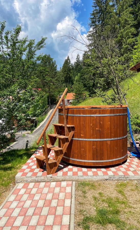 Casa De Vacanta Chesa Борсек Экстерьер фото